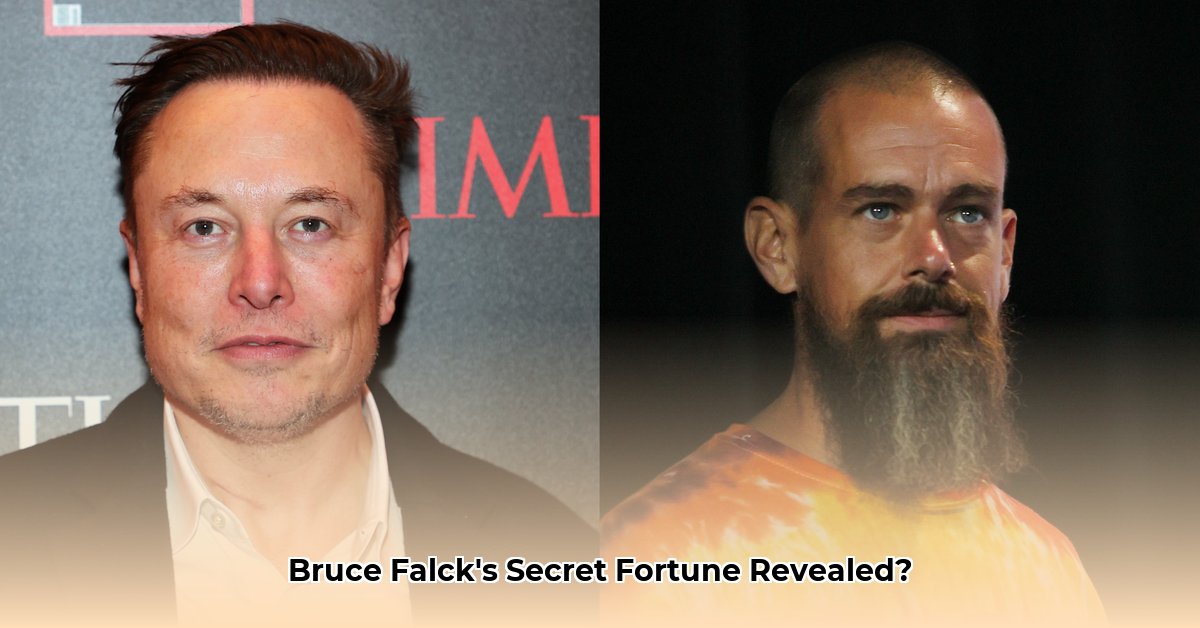 bruce-falck-net-worth